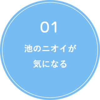 池のニオイが気になる